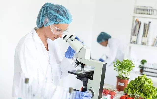 如何做好食品检测实验室的规划设计